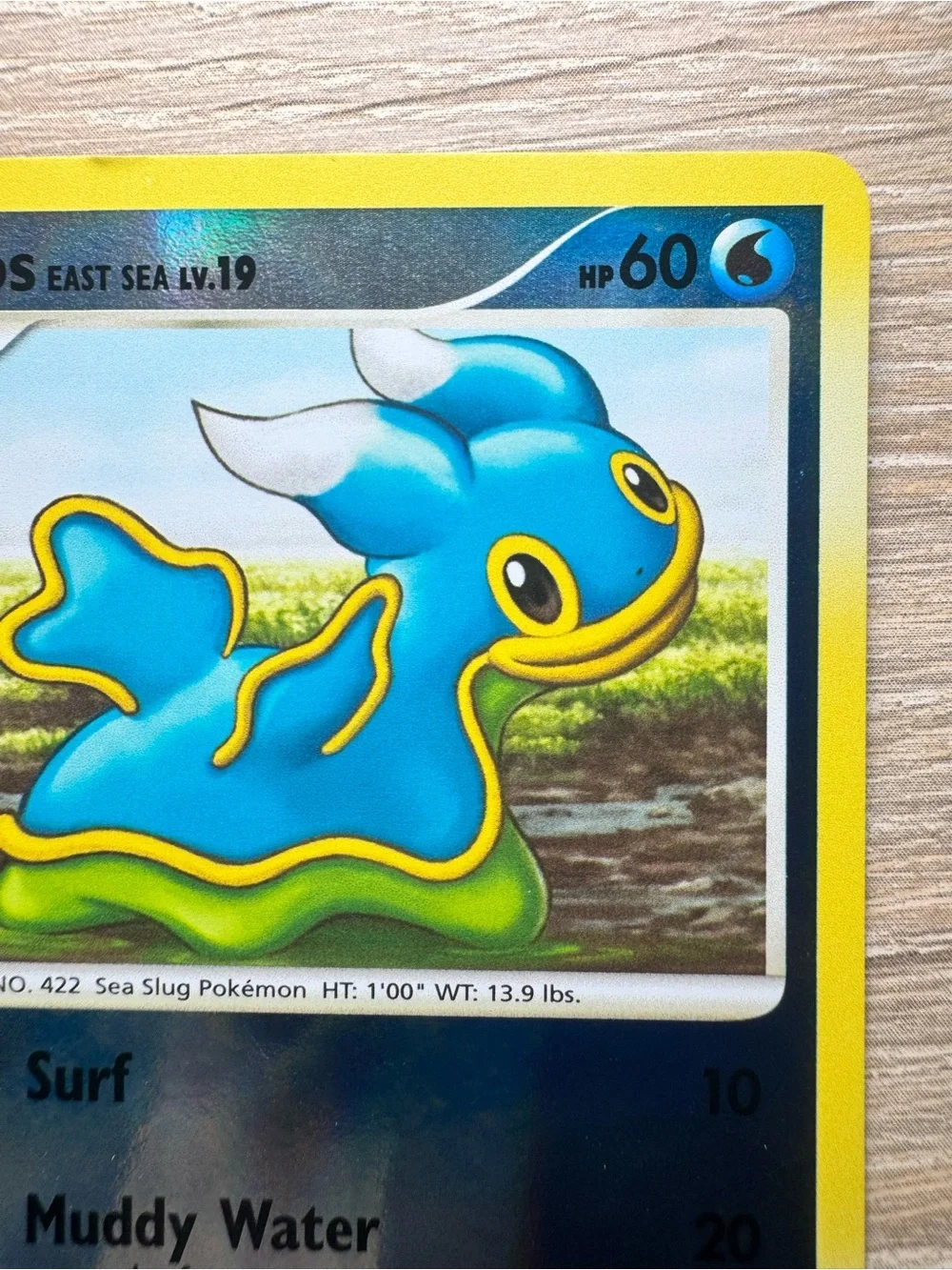 Shellos East Sea #73/Pokemon Majestic Dawn
